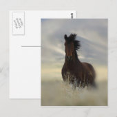 Carte postale Icone (Devant / Derrière)