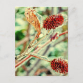 Carte Postale Icy (Devant)