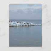 Carte Postale Icy Shore (Devant)