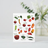 Carte Postale ID de poivre chili (Debout devant)