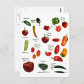 Carte Postale ID de poivre chili (Devant / Derrière)