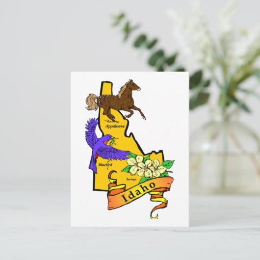 Carte Postale Idaho (Debout devant)