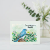 Carte Postale Idaho (Debout devant)