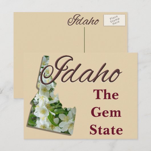 Carte postale - IDAHO (Devant / Derrière)