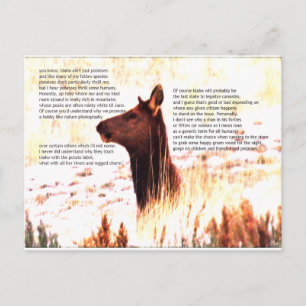 Carte Postale idaho, ce ne sont pas que des pommes de terre