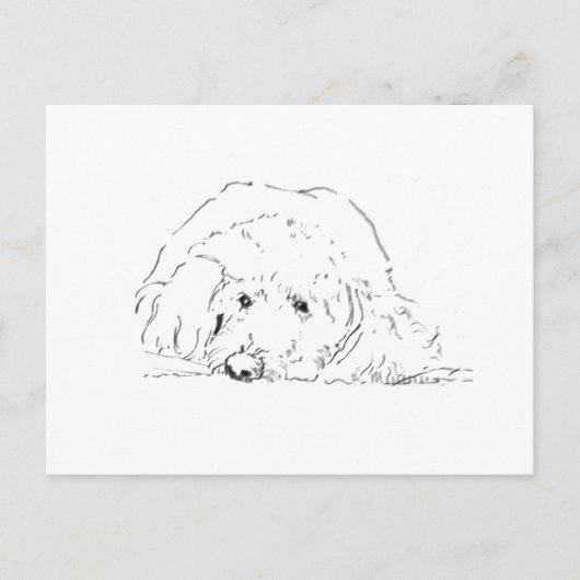 Carte Postale Idées de cadeaux pour amoureux de chiens, chiots C (Devant)