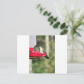 Carte Postale Idées de cadeaux pour colibris (Debout devant)