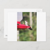 Carte Postale Idées de cadeaux pour colibris (Devant / Derrière)