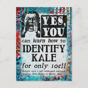 Carte Postale Identifier Kale - Drôle Annonce Vintage