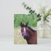 Carte Postale idiot1 (Debout devant)