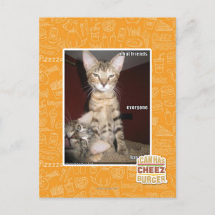 Carte Postale Idiot Friends