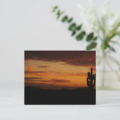 Carte postale IDKP Sunset (Debout devant)