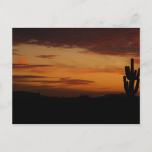 Carte postale IDKP Sunset