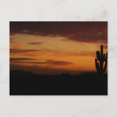 Carte postale IDKP Sunset (Devant)