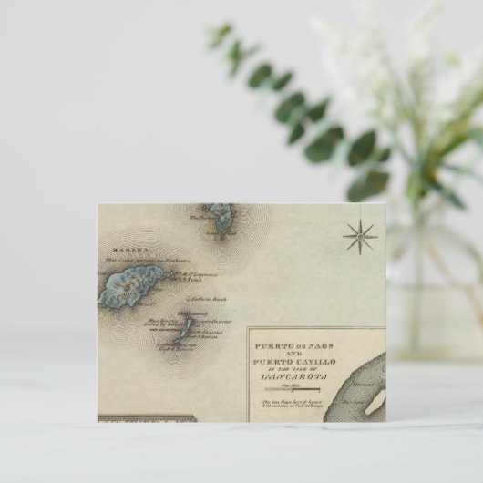 Carte Postale Ids de Madère (Debout devant)