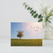 Carte Postale Idylle champêtre (Debout devant)