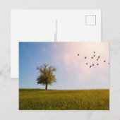 Carte Postale Idylle champêtre (Devant / Derrière)