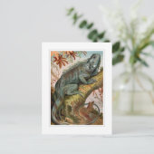 Carte Postale Iguana (Debout devant)