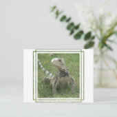 Carte postale Iguana (Debout devant)