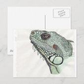 Carte Postale Iguana (Devant / Derrière)