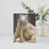 Carte Postale Iguana (Debout devant)