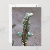 Carte postale Iguana (Devant / Derrière)