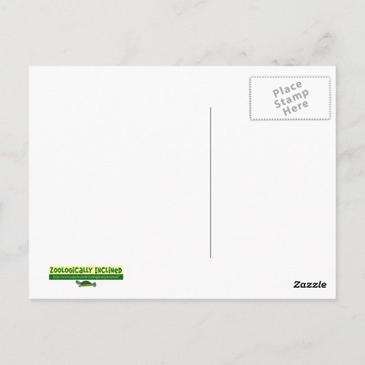 Carte postale Iguana (Dos)