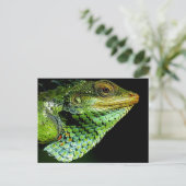 Carte postale Iguana Close-up Photo (Debout devant)