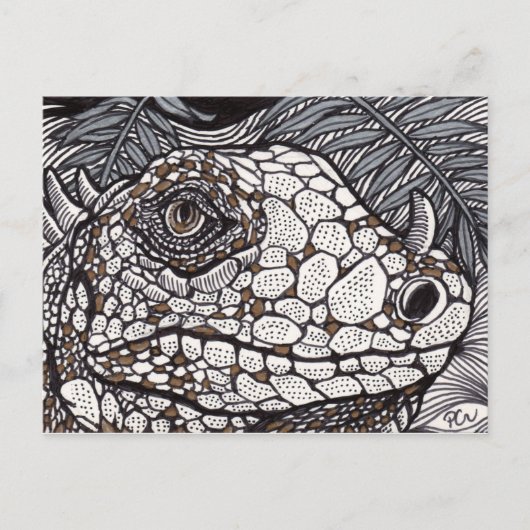 Carte Postale Iguana en colère (Devant)