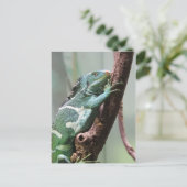 Carte Postale Iguana Fijian Crested (Debout devant)