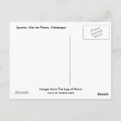 Carte Postale Iguana, Islas Plazas, Galapagos (Dos)