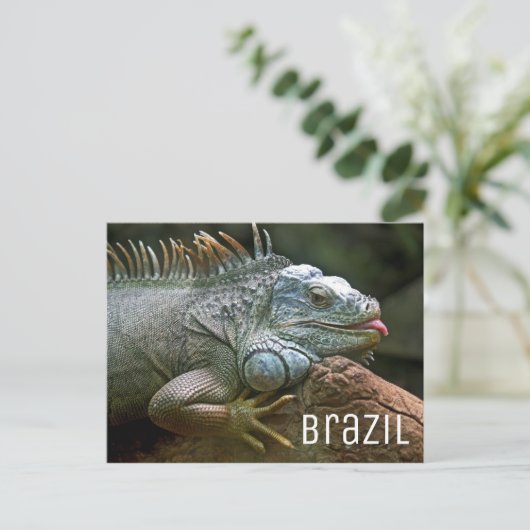 Carte Postale Iguana Lizard Brésil (Debout devant)