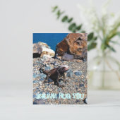 Carte postale Iguana Te serrer (Debout devant)