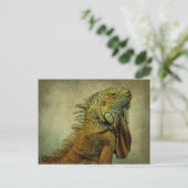 Carte Postale Iguana verte (Debout devant)