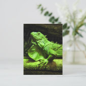Carte Postale Iguana verte (Debout devant)