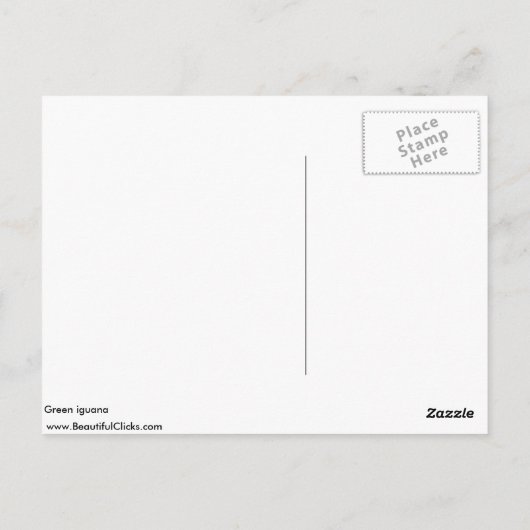 Carte Postale iguane vert (Dos)