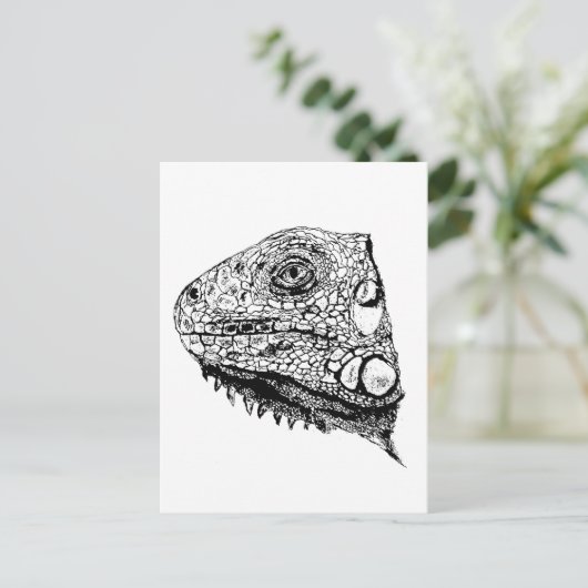 Carte Postale iguane vert (Debout devant)