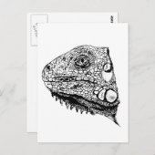 Carte Postale iguane vert (Devant / Derrière)