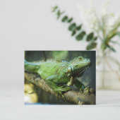 Carte Postale Iguane vert (Debout devant)