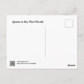 Carte Postale iguane vert dans Key West Florida (Dos)