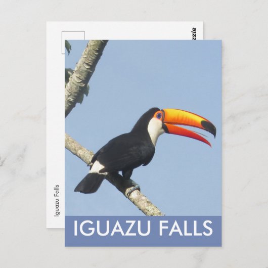Carte postale Iguazu Falls Toco Toucan (Devant / Derrière)