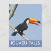 Carte postale Iguazu Falls Toco Toucan (Devant)