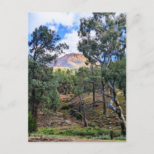 Carte Postale Ikara-Flinders Ranges SA (Devant)