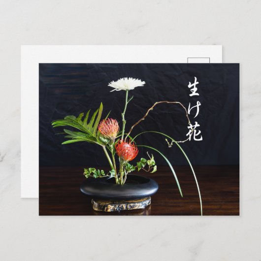 Carte Postale Ikebana (Devant / Derrière)