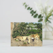 Carte Postale Il est difficile d'être roi - Pic de Lion Dormir (Debout devant)