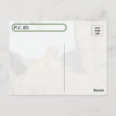 Carte Postale Il est difficile d'être roi - Pic de Lion Dormir (Dos)