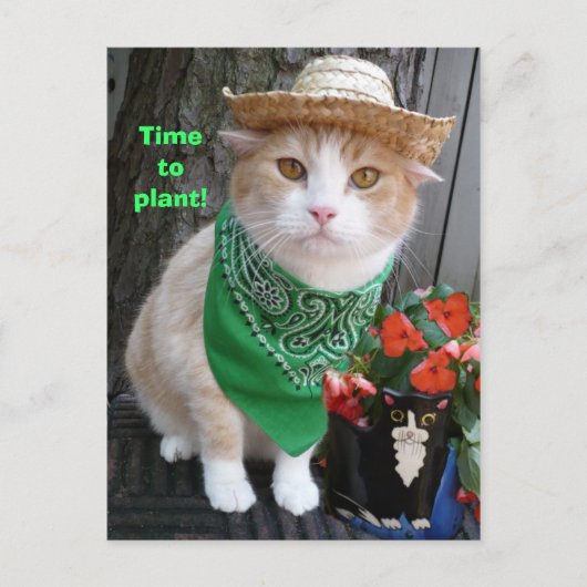 Carte Postale Il est temps de Plante ! (Devant)