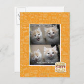 Carte Postale Il était pelucheux (Devant / Derrière)