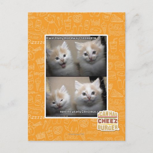 Carte Postale Il était pelucheux (Devant)