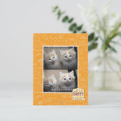 Carte Postale Il était pelucheux (Debout devant)